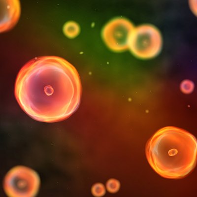 color cells focus