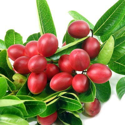 Super fruit and herbs.