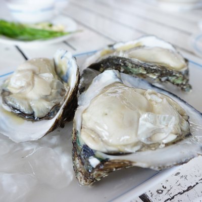 Fresh oyster on white plates