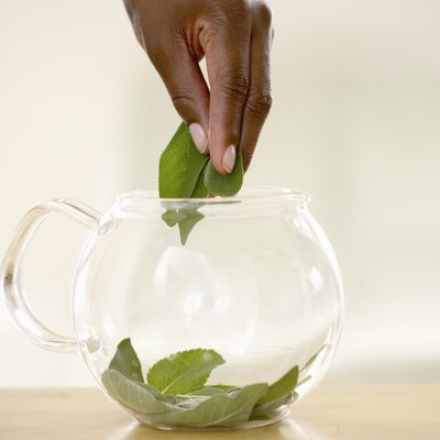 Person placing leaves into glass teapot, close up