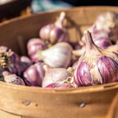 Organic Red Garlic Fall Harvest at the Farmers Market
