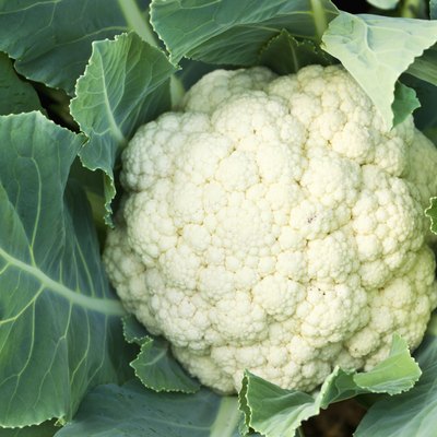 Fresh cauliflower