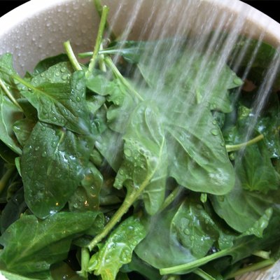 Wash Green Vegetable