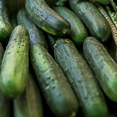 Basket of cucumbers