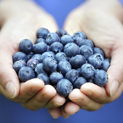 Handful of blueberries