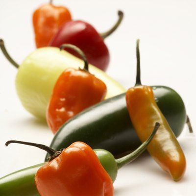 Close-up of chili peppers