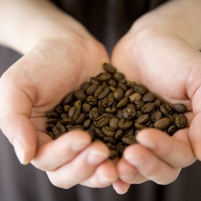 A Woman's Hands Holding Fresh Coffee Beans