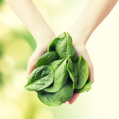 close up of woman hands holding spinach
