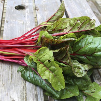 Swiss Chard