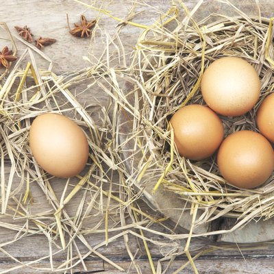 Farm fresh egg