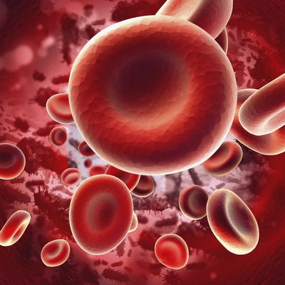 Red blood cells flowing in the vein