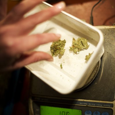 Coffee Shops In Amsterdam Remain Open To Tourists