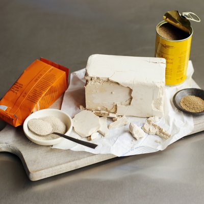 Assorted types or forms of yeast, including block of compressed yeast and powdered yeast