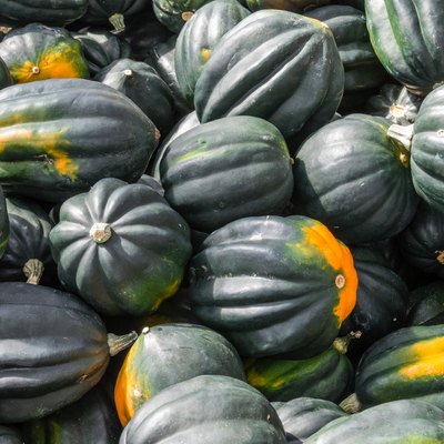 Acorn squash displayed at the market