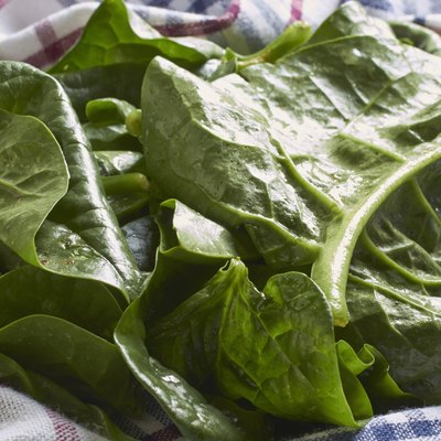 Malabar spinach leaves