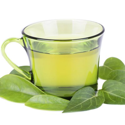 glass cup with fresh green tea leaves