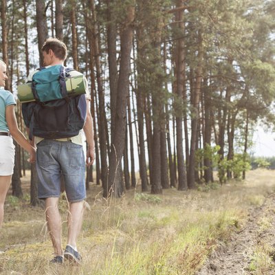 Rear view of young couple holding hands while hiking in forest