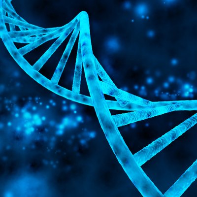 double helix of the DNA