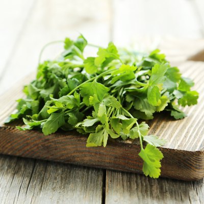Parsley on grey wooden background