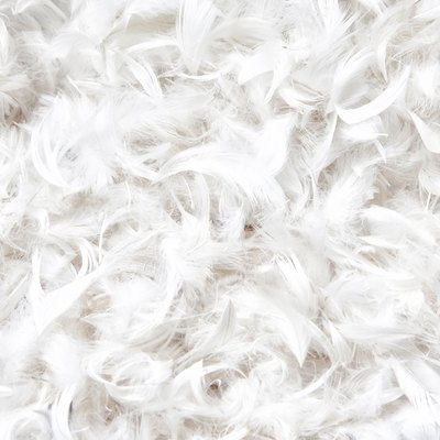 soft, weightless, gentle bird plumage texture for pillow