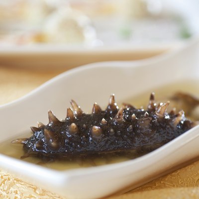 Sea Cucumber