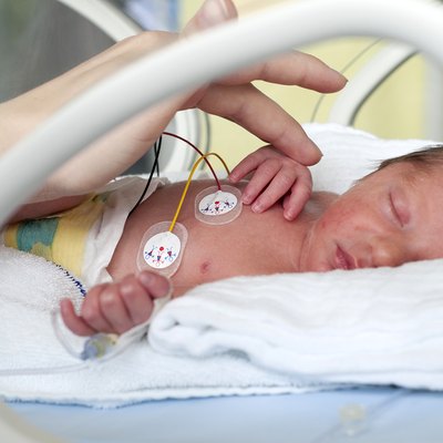Newborn baby in incubator