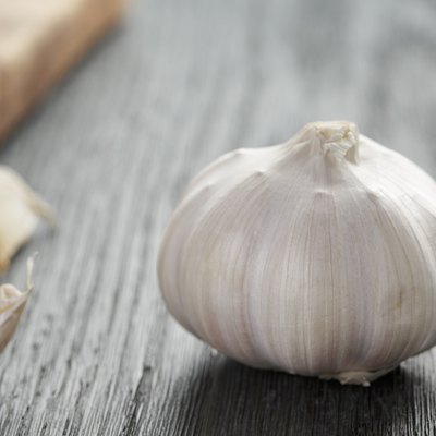 whole garlic head on oak wood table