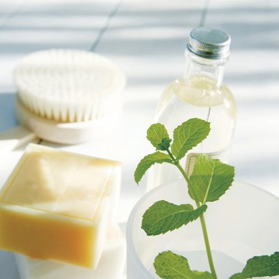 Bars of soap and body brush next to potted plant