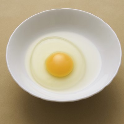 Egg