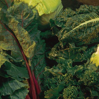 Assorted leafy green vegetables