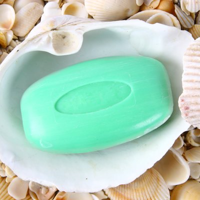 Soap in shell