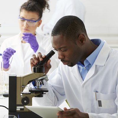 Technicians Carrying Out Research In Laboratory