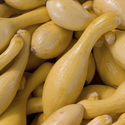 squash