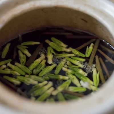 tea of lotus stamen