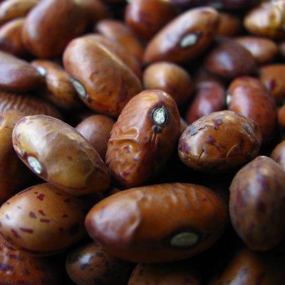 Kidney Beans
