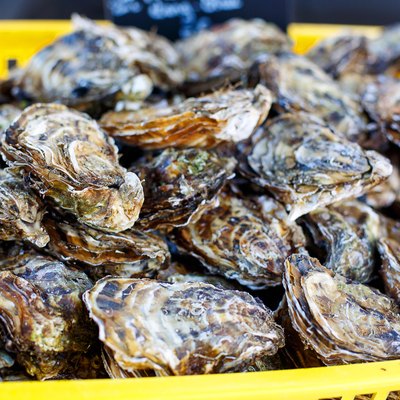 fresh oysters on mediterranean street market.