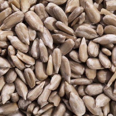 heap of sunflower seed close up