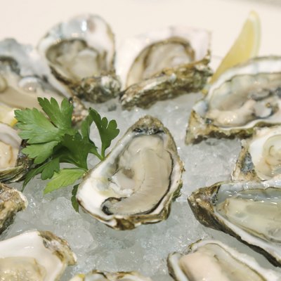 background of fresh oyster in a plate