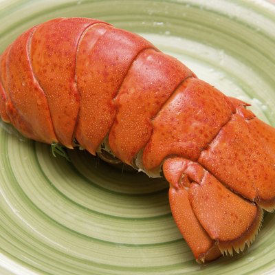 lobster