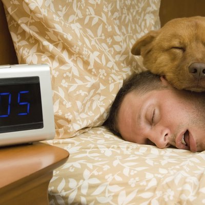 Fell into profound sleep