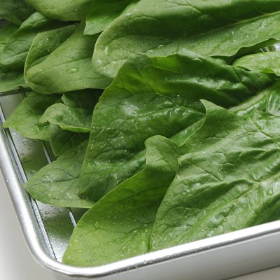 Spinach in a baking pan