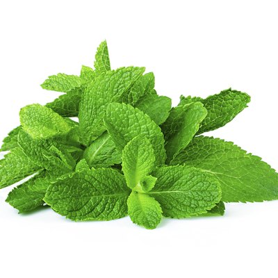 mint sheaf