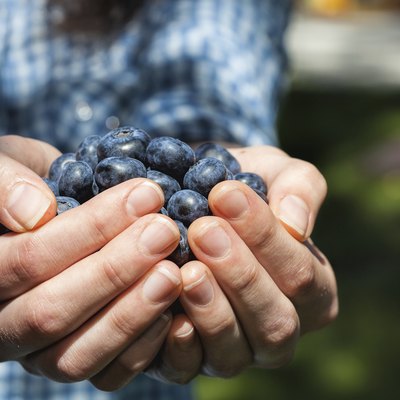 Hands with blueberries