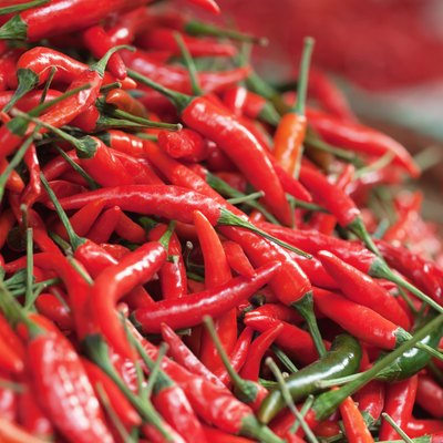 Red Chili Peppers pile in market