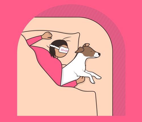 illustration of pet sleeping in bed with owner