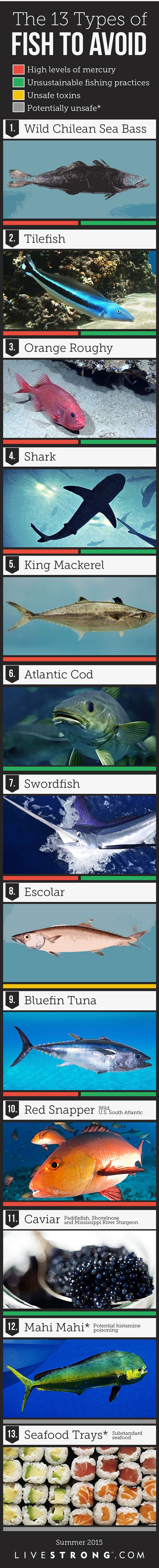 13 types of fish to avoid infographic