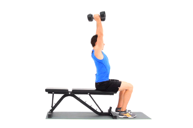 Man Demonstrating How to Do a Overhead Triceps Extension