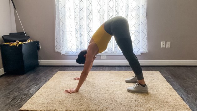 Move 2: Isometric Downward Dog