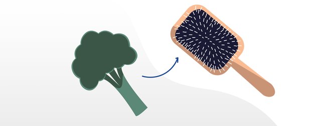 A serving of broccoli compared to a hairbush