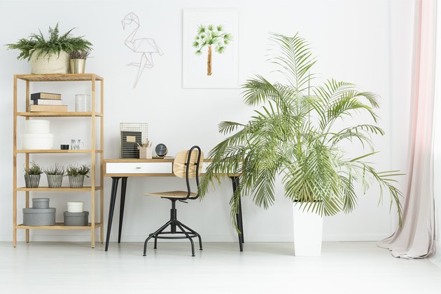 Workspace with plants